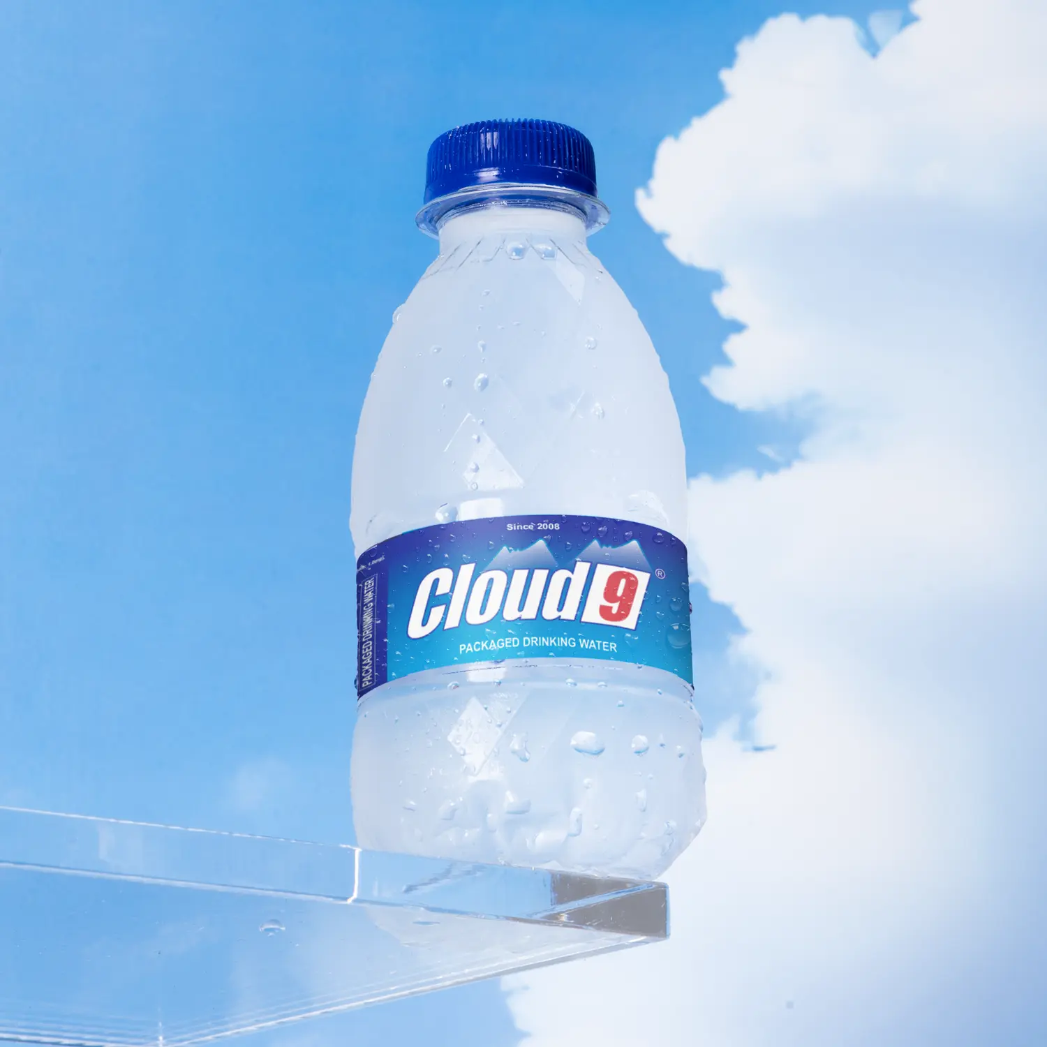 PROVEN BRAND PORTFOLIO